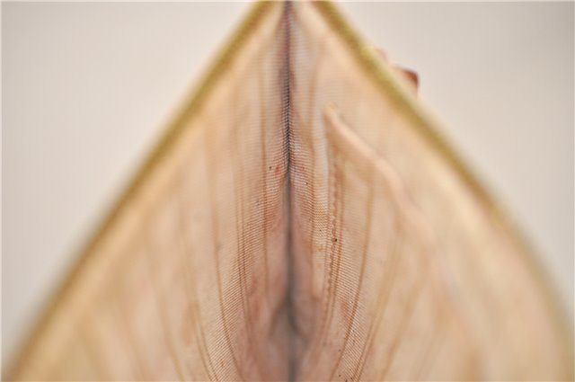 Authentic Louis Vuitton Damier Azur Neverfull Pouch Purse Clutch LV 6964D