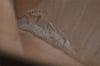 Authentic GUCCI Web Sherry Line Shoulder Hand Bag GG PVC Leather Brown 0321J