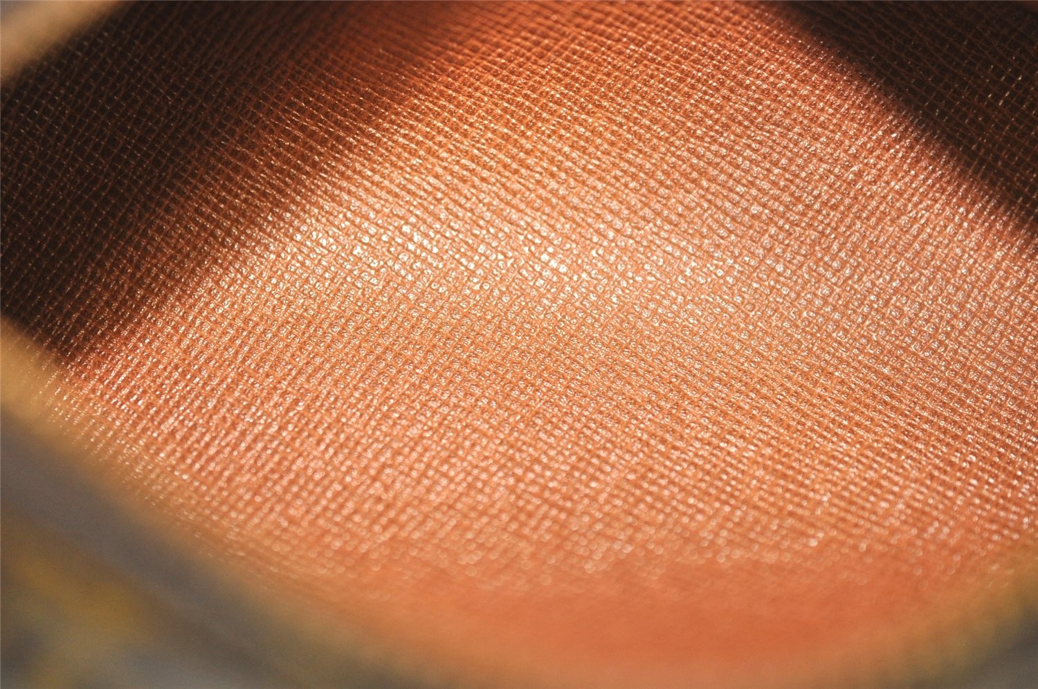 Authentic Louis Vuitton Monogram Papillon Pouch Old Model LV 0482J