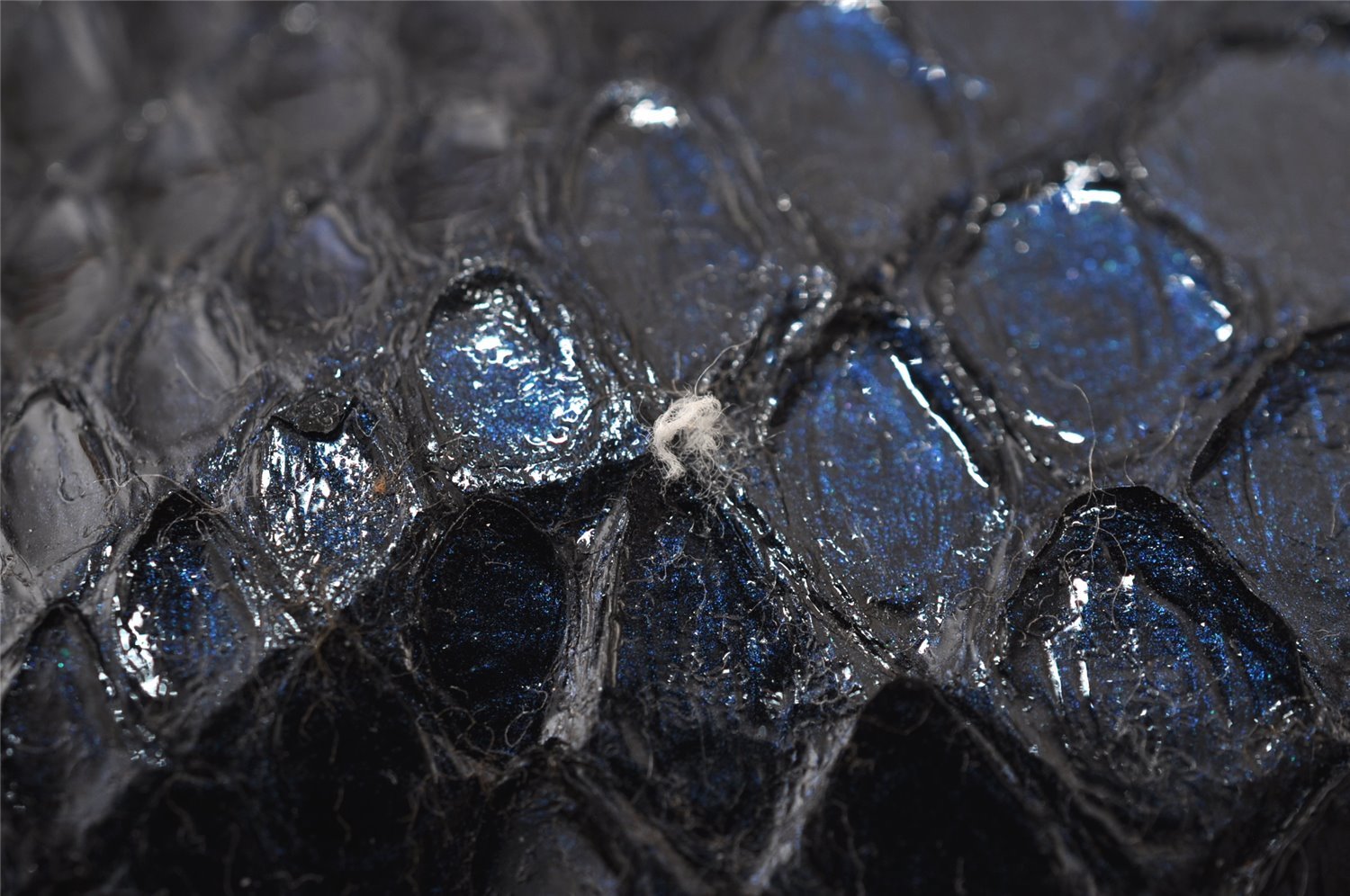 Authentic GUCCI Python Motif Leather Clutch Hand Bag Navy 228574 Box 0487J