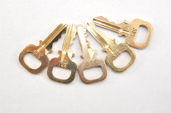 Authentic Louis Vuitton Padlock & Keys 10Set LV 0552L