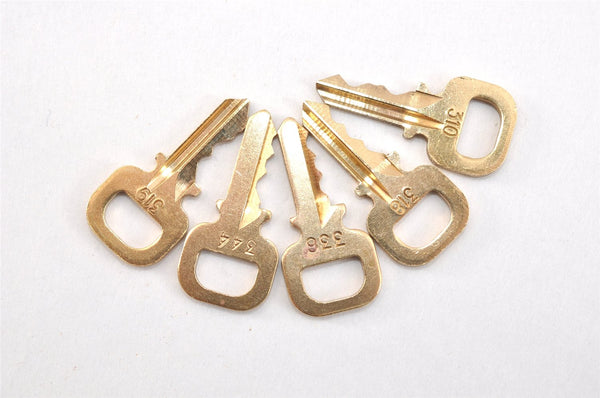 Authentic Louis Vuitton Padlock & Keys 10Set LV 0552L