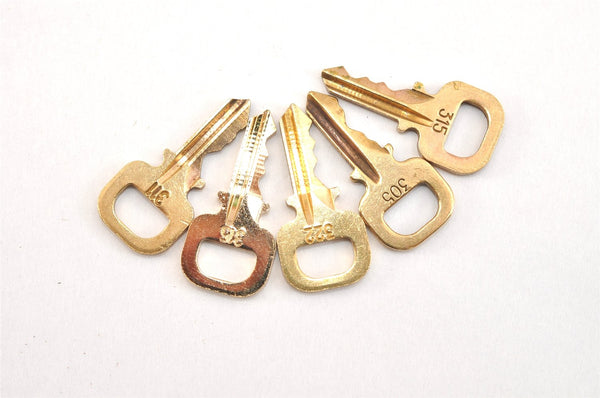 Authentic Louis Vuitton Padlock & Keys 10Set LV 0554L