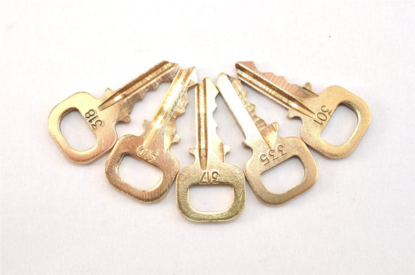 Authentic Louis Vuitton Padlock & Keys 10Set LV 0555L