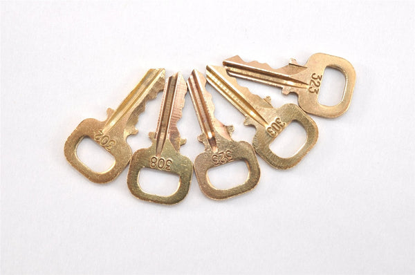 Authentic Louis Vuitton Padlock & Keys 10Set LV 0555L