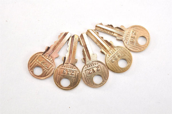 Authentic Louis Vuitton Padlock and Key 10Set Old Model LV 0557L