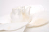 Authentic CHANEL Camellia Corsage Brooch Canvas White Box 0754J