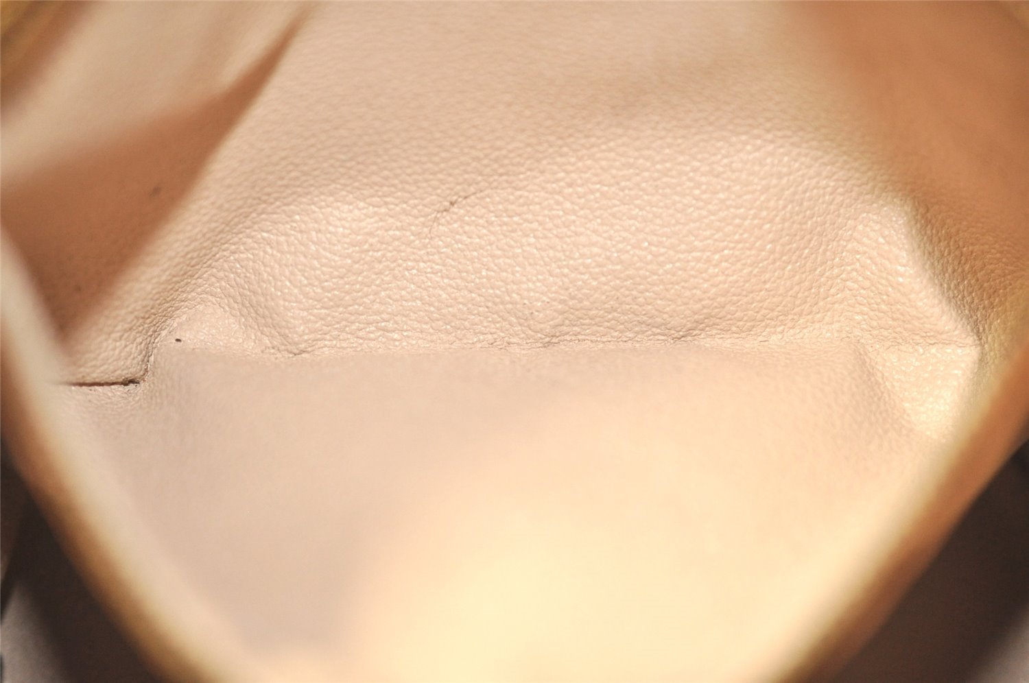 Authentic Louis Vuitton Monogram Bucket PM Shoulder Tote Bag M42238 Junk 0872I