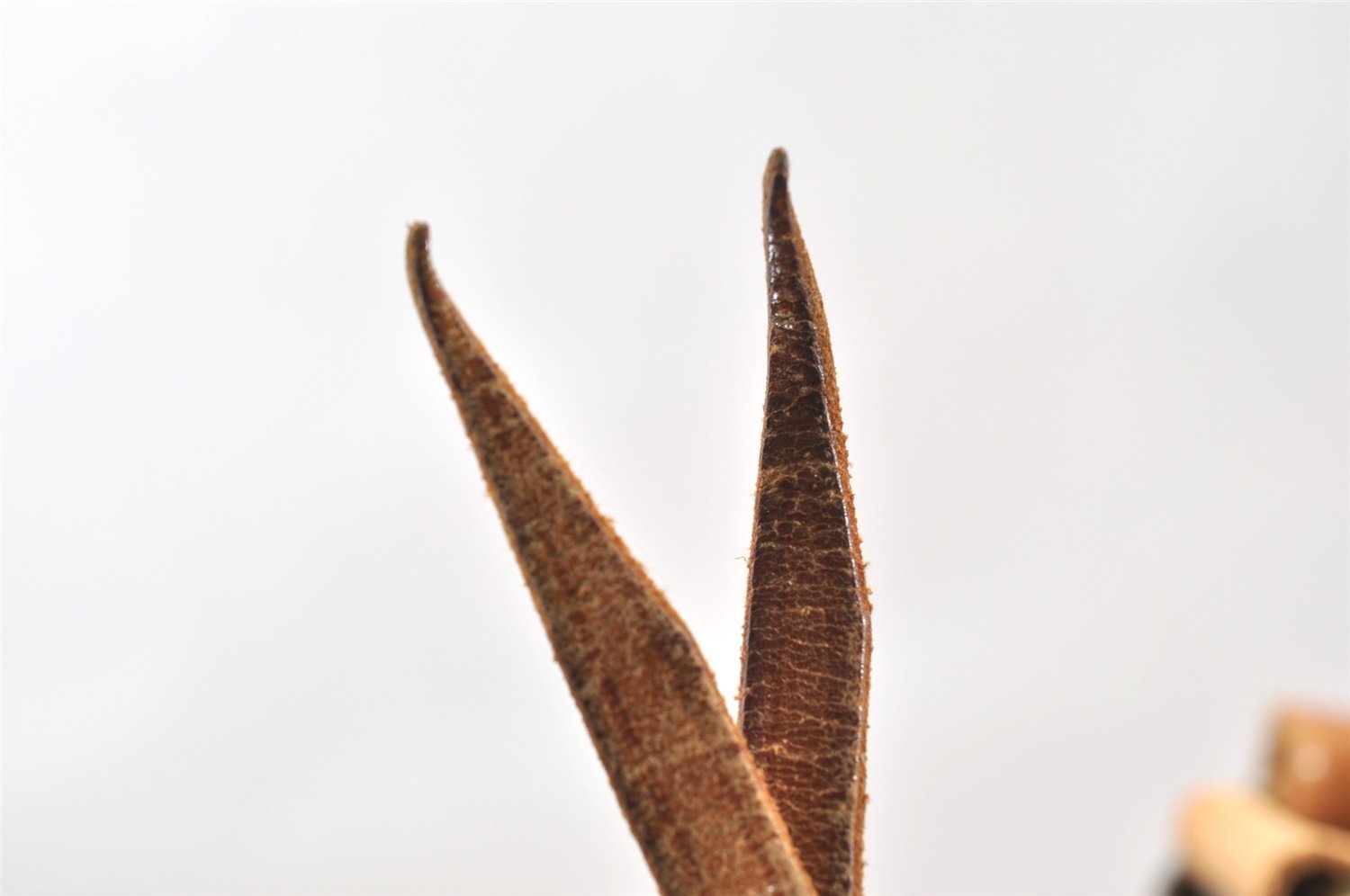 Authentic Louis Vuitton Monogram Noe Shoulder Drawstring Bag Old Model LV 1281I