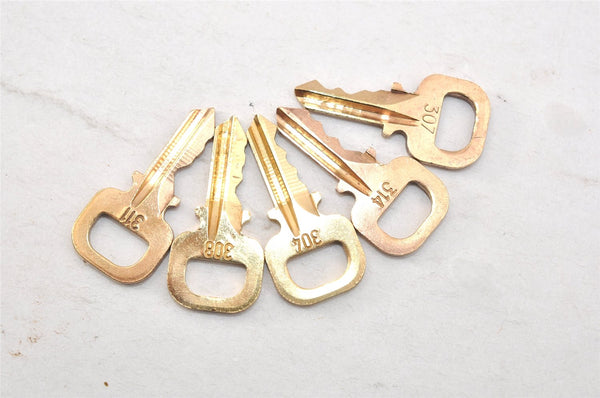 Authentic Louis Vuitton Padlock & Keys 10Set LV 1415L