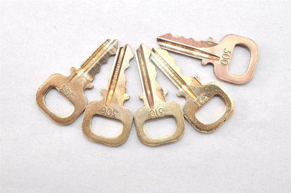 Authentic Louis Vuitton Padlock & Keys 10Set LV 1420L