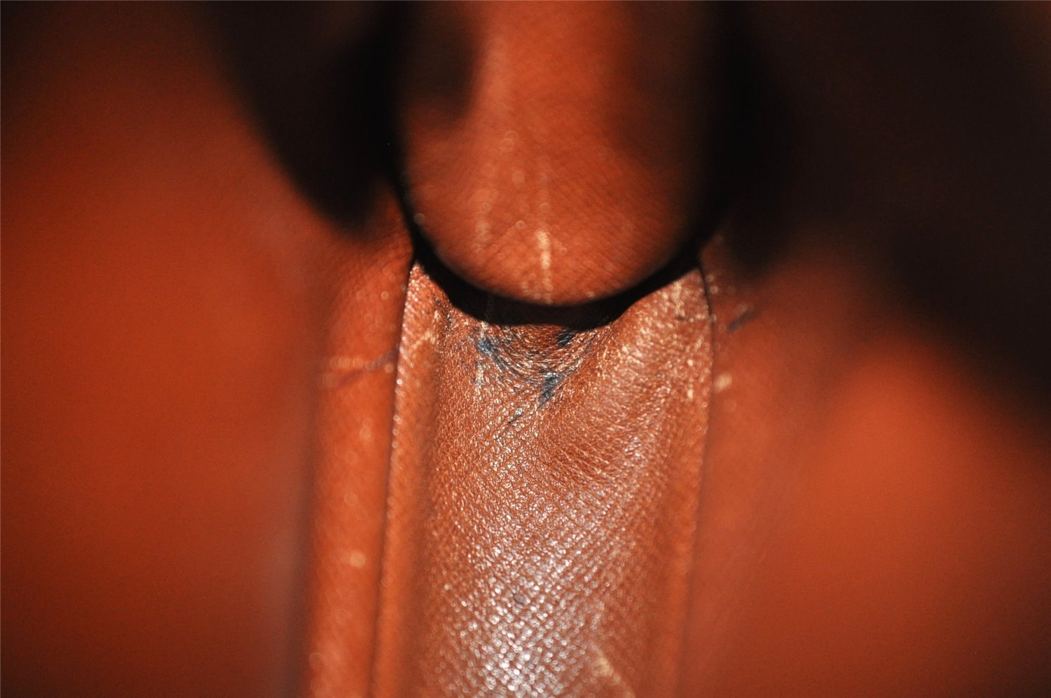 Authentic Louis Vuitton Monogram Mini Amazone Shoulder Bag M45238 Junk 1557I