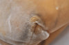 Authentic PRADA Vintage Velour Shoulder Hand Bag Purse Beige 1603K