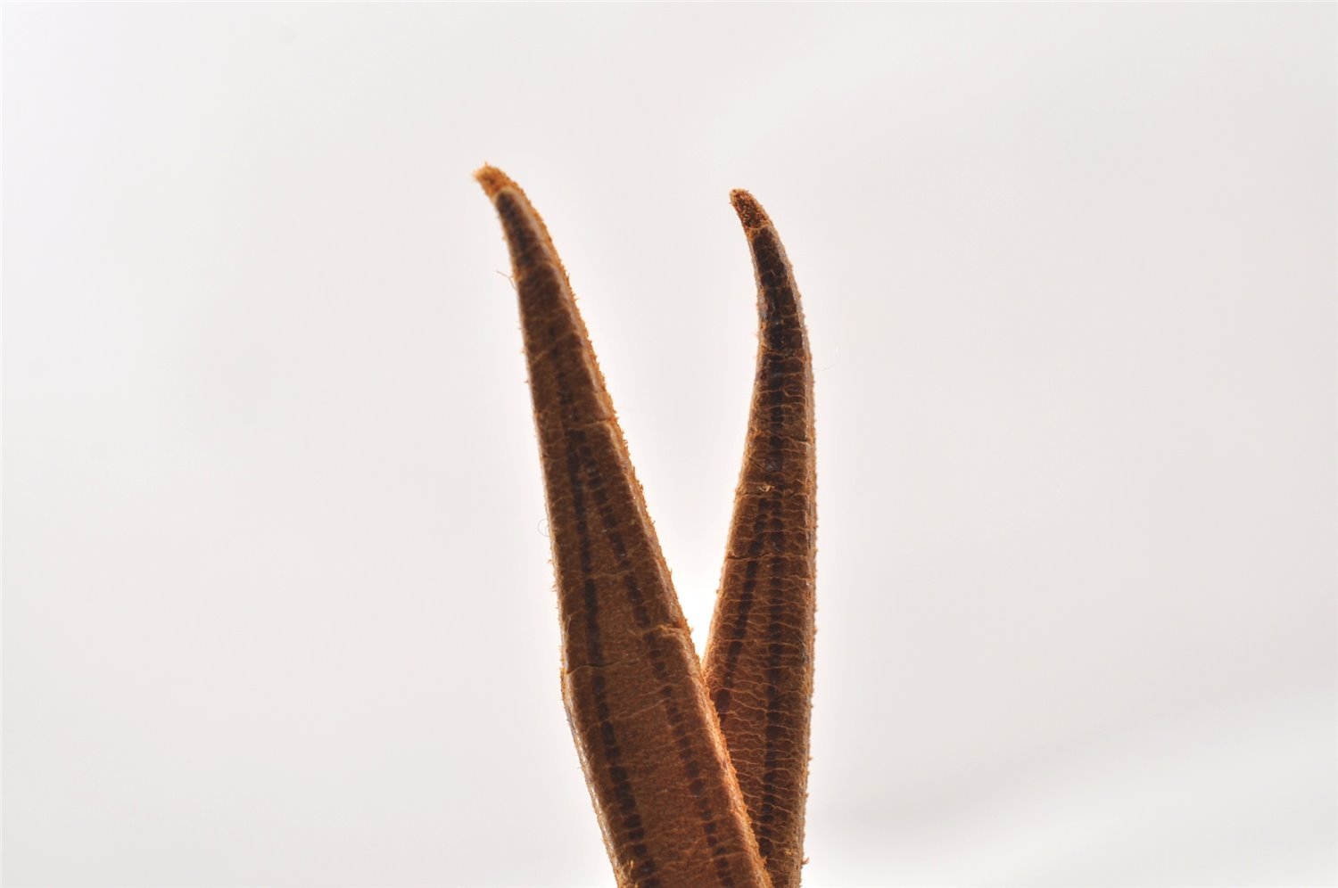 Authentic Louis Vuitton Monogram Petit Noe Drawstring Bag Old Model LV 1737J