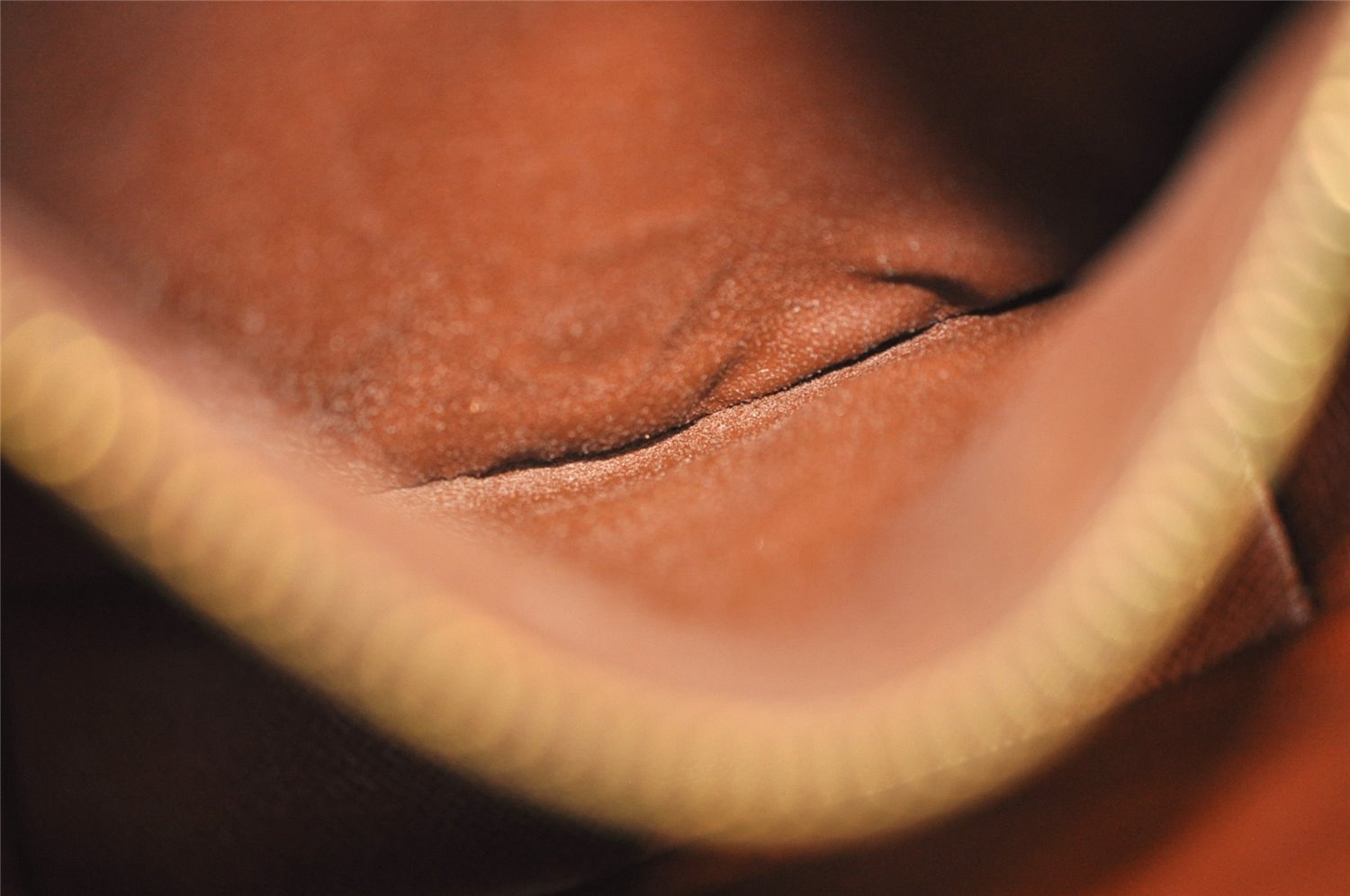 Authentic Louis Vuitton Monogram Chantilly PM Shoulder Cross Bag M51234 LV 2055J