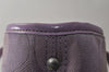 Authentic COACH Signature 2Way Tote Bag Canvas Enamel F18844 Purple 2109K