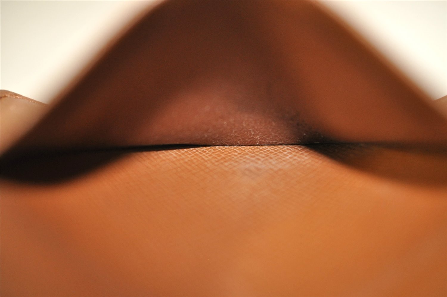 Authentic Louis Vuitton Monogram Agenda Mini Notebook Cover R20007 LV 2270I