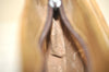 Authentic GUCCI GG Plus Shoulder Bag Purse GG PVC Leather Brown Junk 2330J