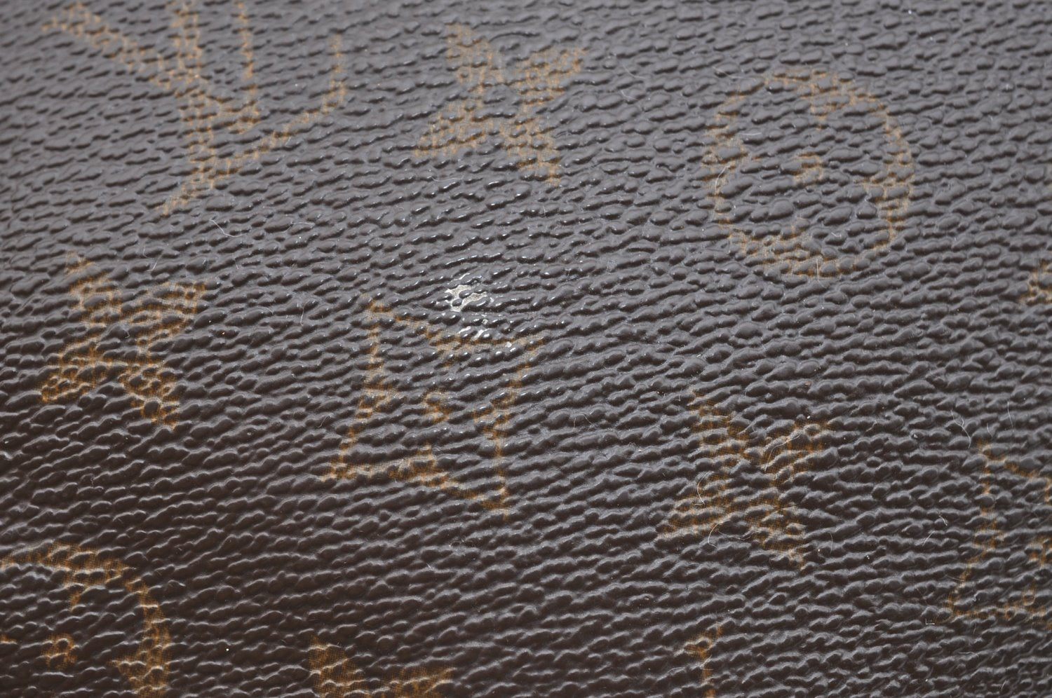 Authentic Louis Vuitton Monogram Marly Dragonne GM M51825 Clutch Hand Bag 2406G