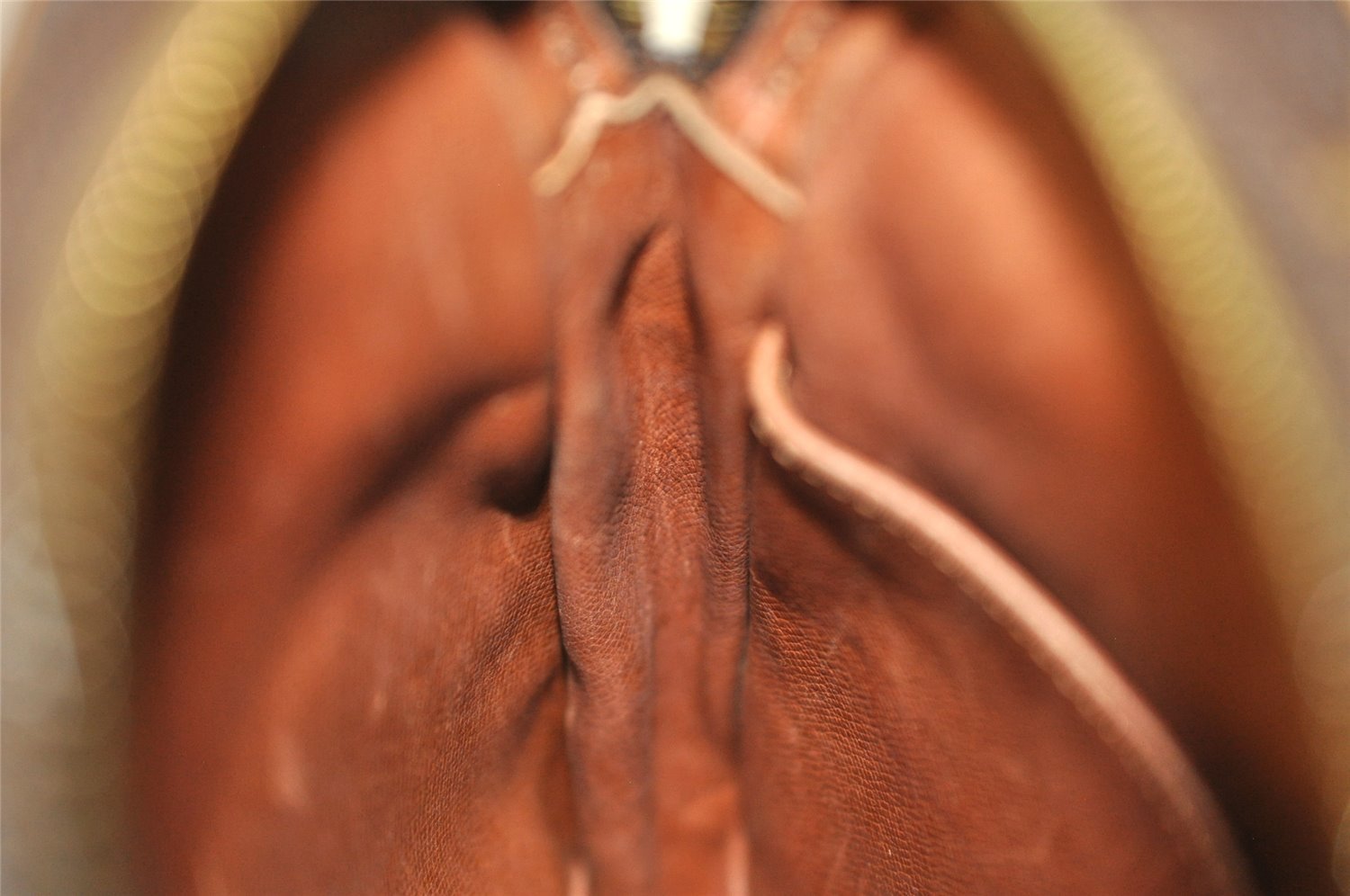 Authentic Louis Vuitton Monogram Danube Shoulder Cross Body Bag M45266 LV 2585I