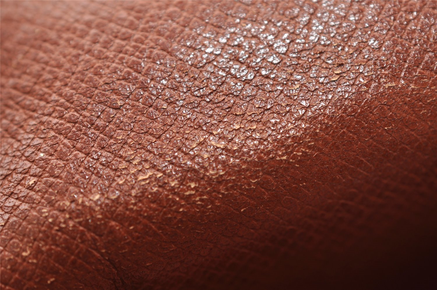 Authentic Louis Vuitton Monogram Mini Amazone Shoulder Bag M45238 Junk 2950I