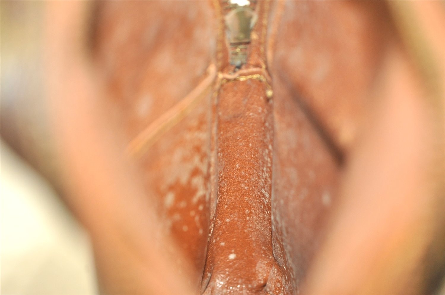 Authentic Louis Vuitton Monogram Amazone Shoulder Cross Body Bag Old Model 2965I