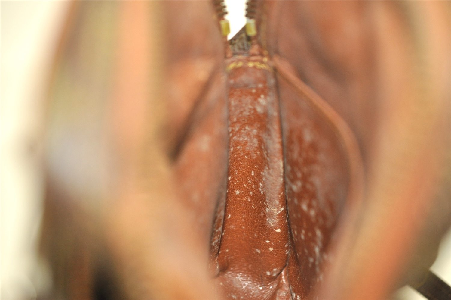 Authentic Louis Vuitton Monogram Amazone Shoulder Cross Body Bag Old Model 2965I