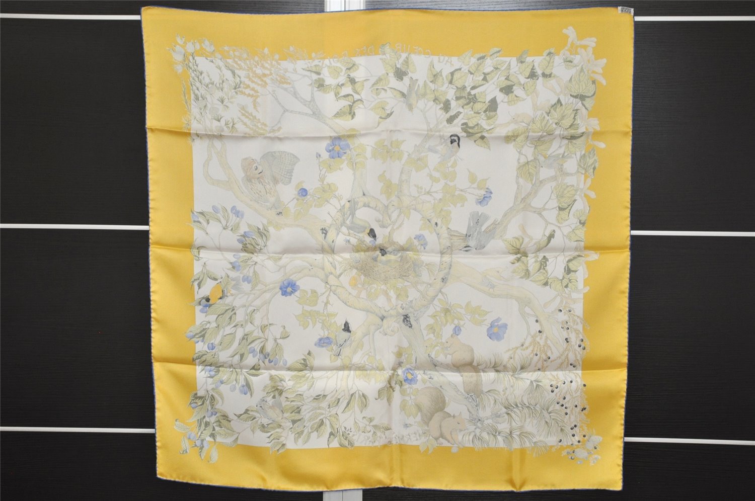 Authentic HERMES Carre 90 Scarf 