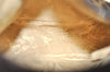 Authentic FENDI Vintage Zucca Hand Bag Purse Canvas Leather Brown Junk 3237I