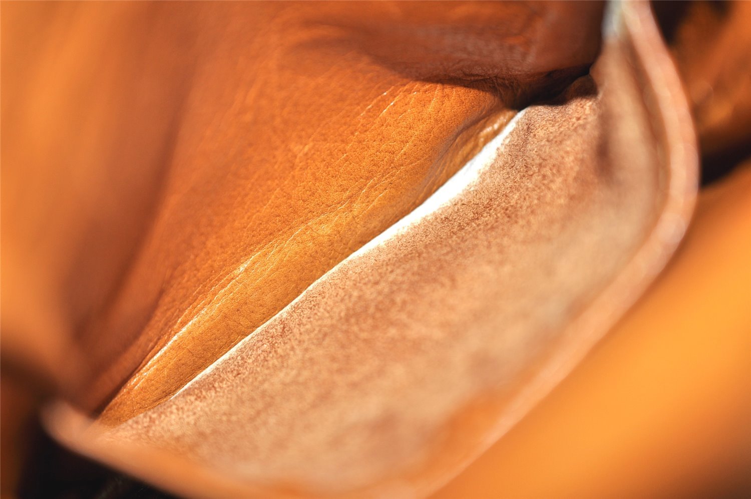 Authentic Louis Vuitton Monogram Amazone Shoulder Cross Body Bag Old Model 3333K