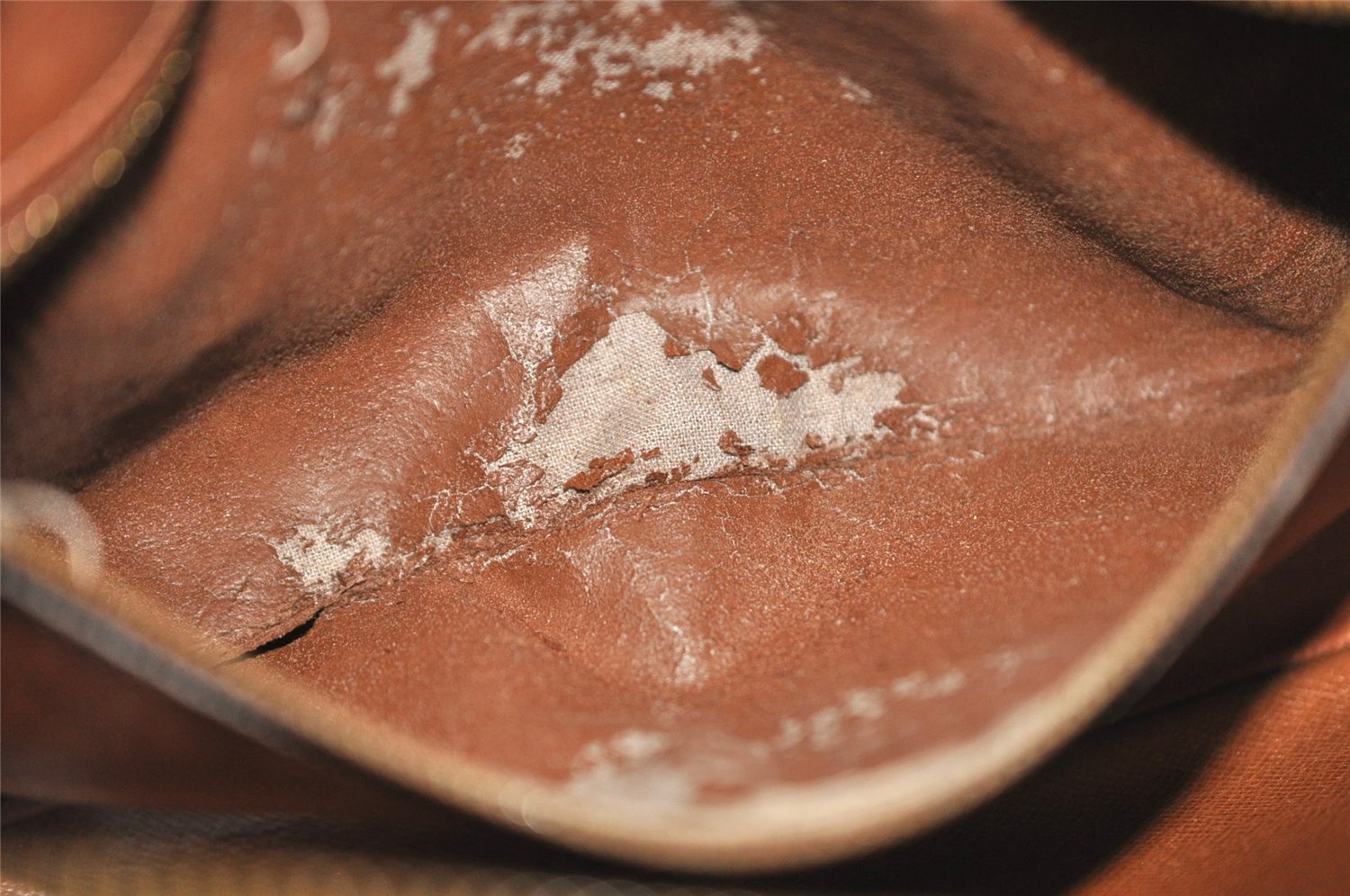 Authentic Louis Vuitton Monogram Marly Dragonne GM M51825 Clutch Bag Junk 3523J