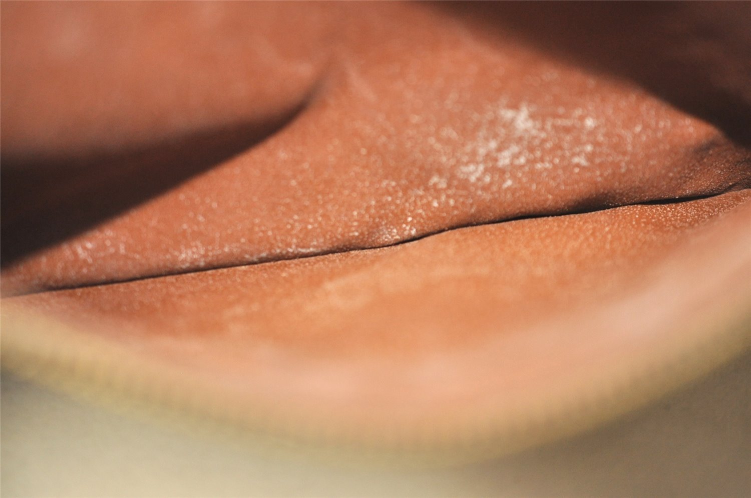 Authentic Louis Vuitton Monogram Enghien Shoulder Cross Bag M51205 LV 4014J