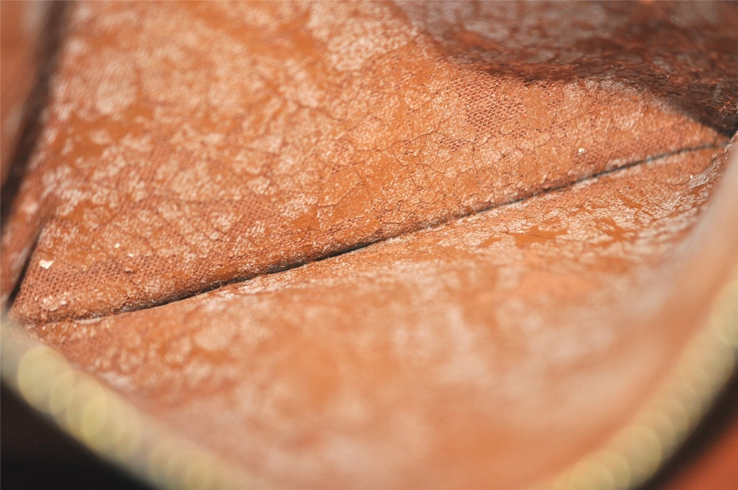 Authentic Louis Vuitton Monogram Enghien Shoulder Cross Bag M51205 LV 4131I