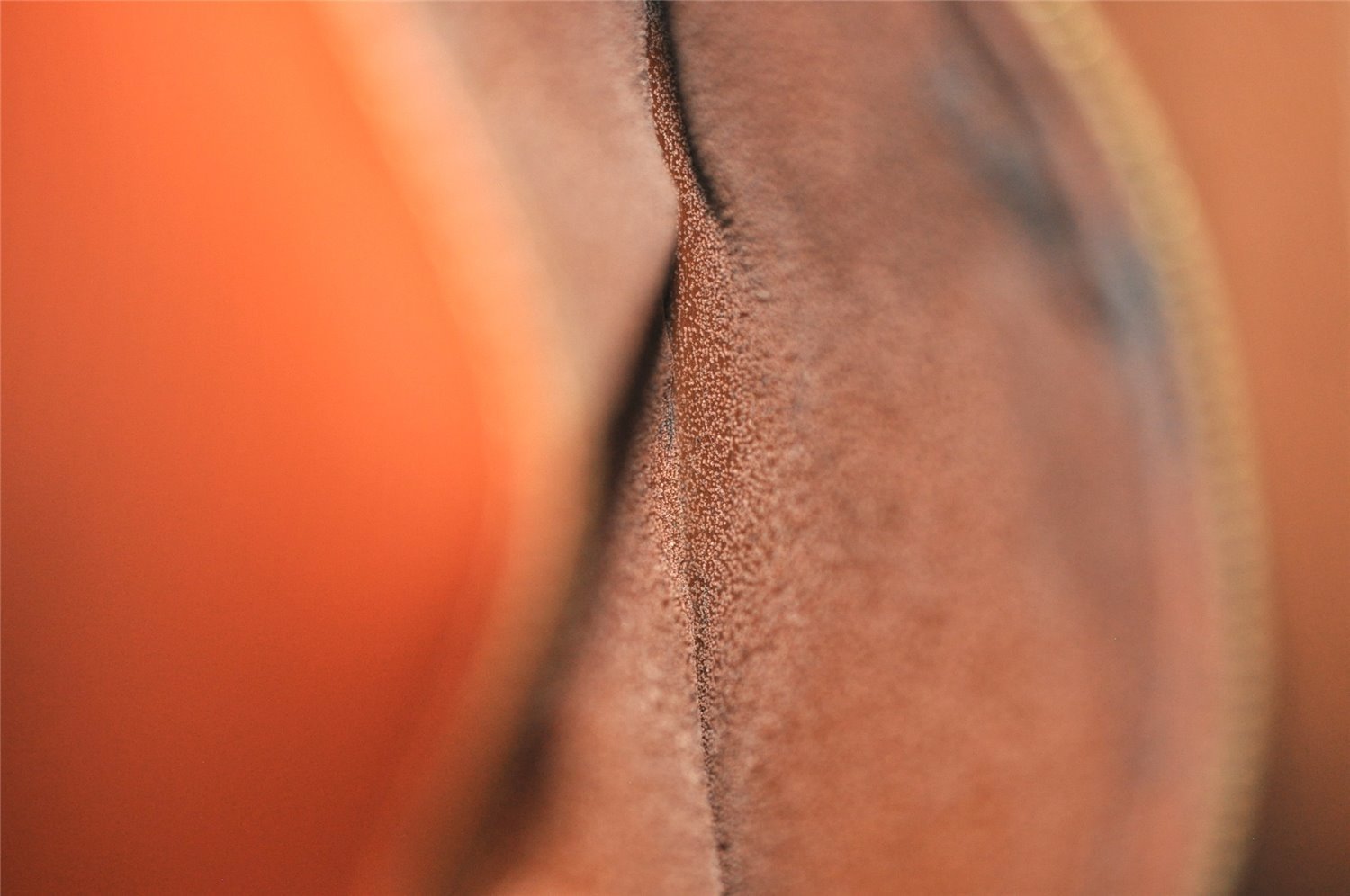 Authentic Louis Vuitton Epi Monceau 2Way Hand Bag Brown M52123 LV Junk 4431J