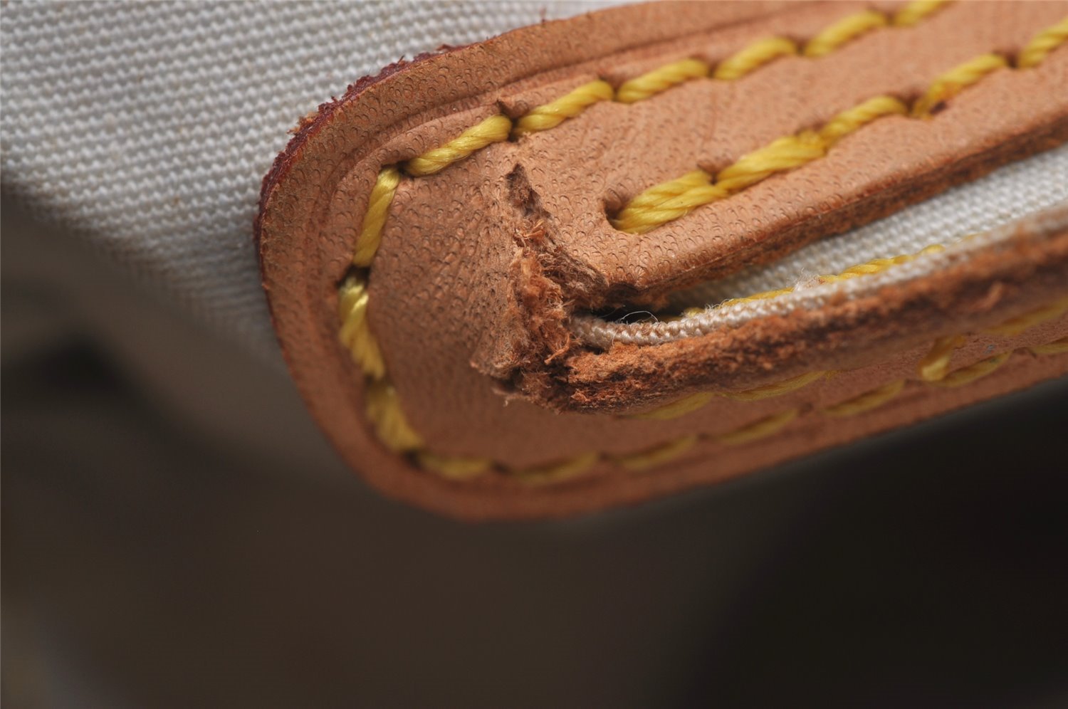 Auth Louis Vuitton Monogram Mini Jeanne GM Shoulder Cross Bag M92000 Blue 4562I