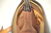 Authentic Louis Vuitton Monogram Trotteur Shoulder Cross Bag M51240 LV 4578J