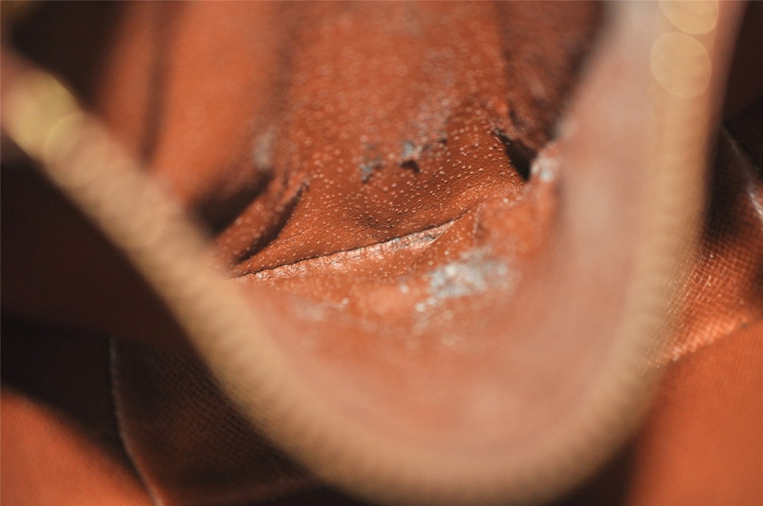 Authentic Louis Vuitton Monogram Chantilly PM Shoulder Cross Bag M51234 LV 4595I