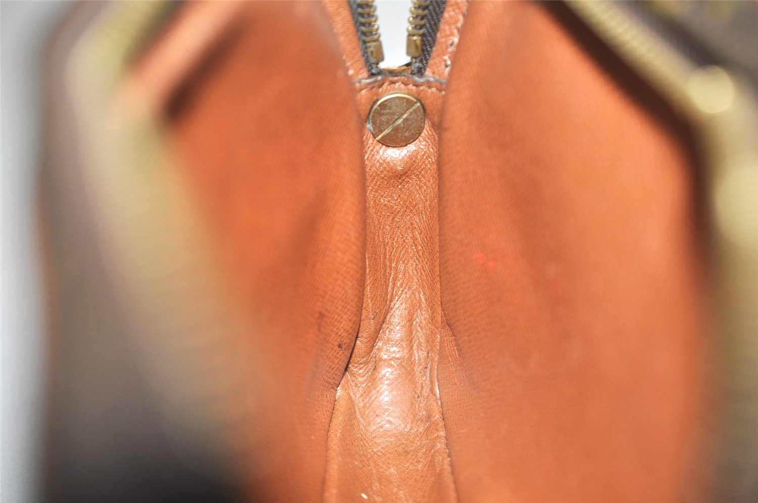 Authentic Louis Vuitton Monogram Marly Dragonne PM M51827 Clutch Bag Junk 4631K