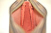 Authentic Louis Vuitton Damier Trousse Makeup Hand Bag Pouch N51982 Junk 5050J