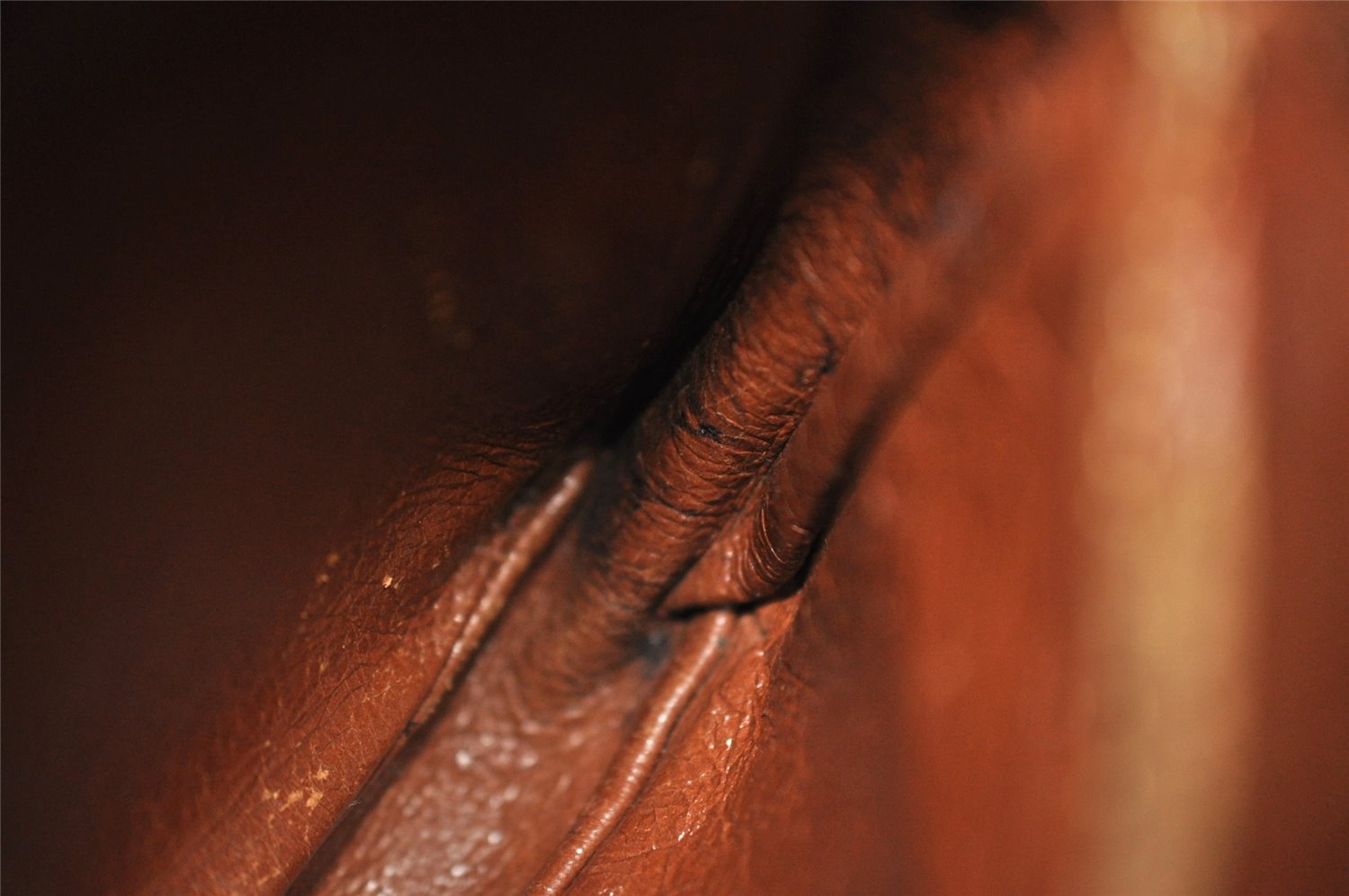 Authentic Louis Vuitton Monogram Amazone Shoulder Cross Bag Old Model Junk 5101I