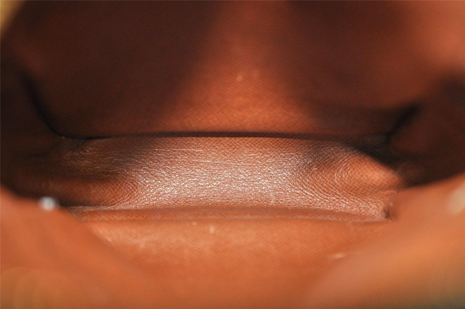 Authentic Louis Vuitton Monogram Mini Amazone Shoulder Bag M45238 LV Junk 5157I