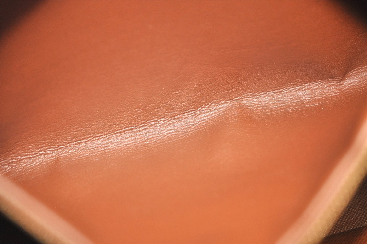 Authentic Louis Vuitton Monogram Nile Shoulder Cross Body Bag M45244 LV 5189J