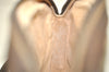 Authentic GUCCI Web Sherry Line Shoulder Bag GG PVC Leather Brown Junk 5453J