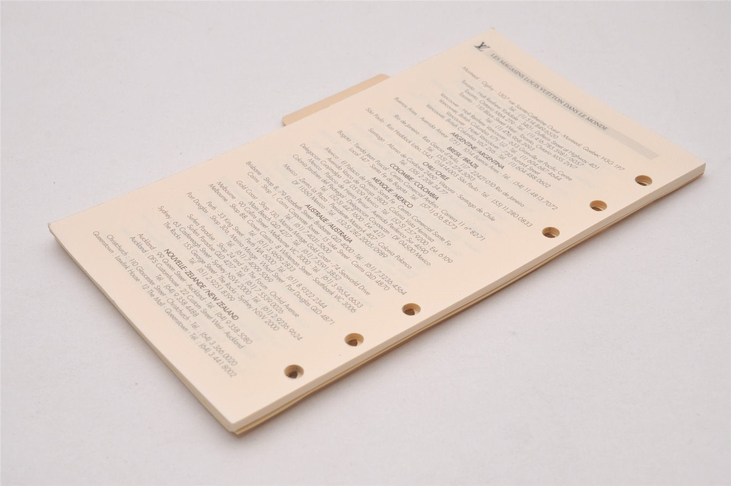 Authentic Louis Vuitton Epi Agenda MM Notebook Cover Brown R20043 LV 5476I