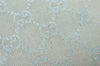 Authentic GUCCI Shoulder Bag GG Canvas Leather 0050813 Light Blue Junk 6161K