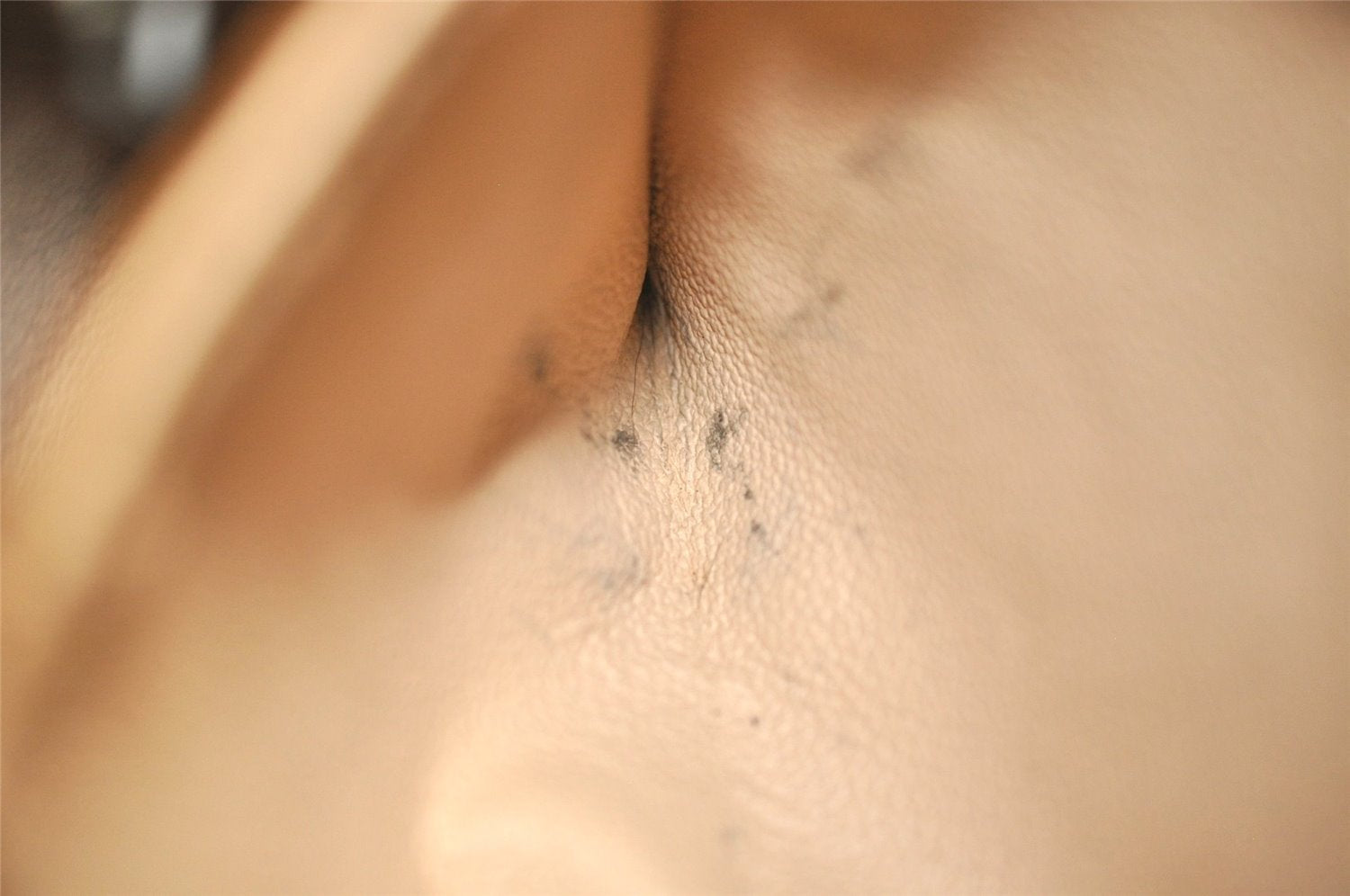 Authentic Louis Vuitton Monogram Bucket PM Shoulder Tote Bag M42238 LV 6195J