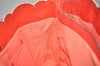 Authentic CELINE Boogie Bag Vintage Hand Bag Purse Leather Red 6690I