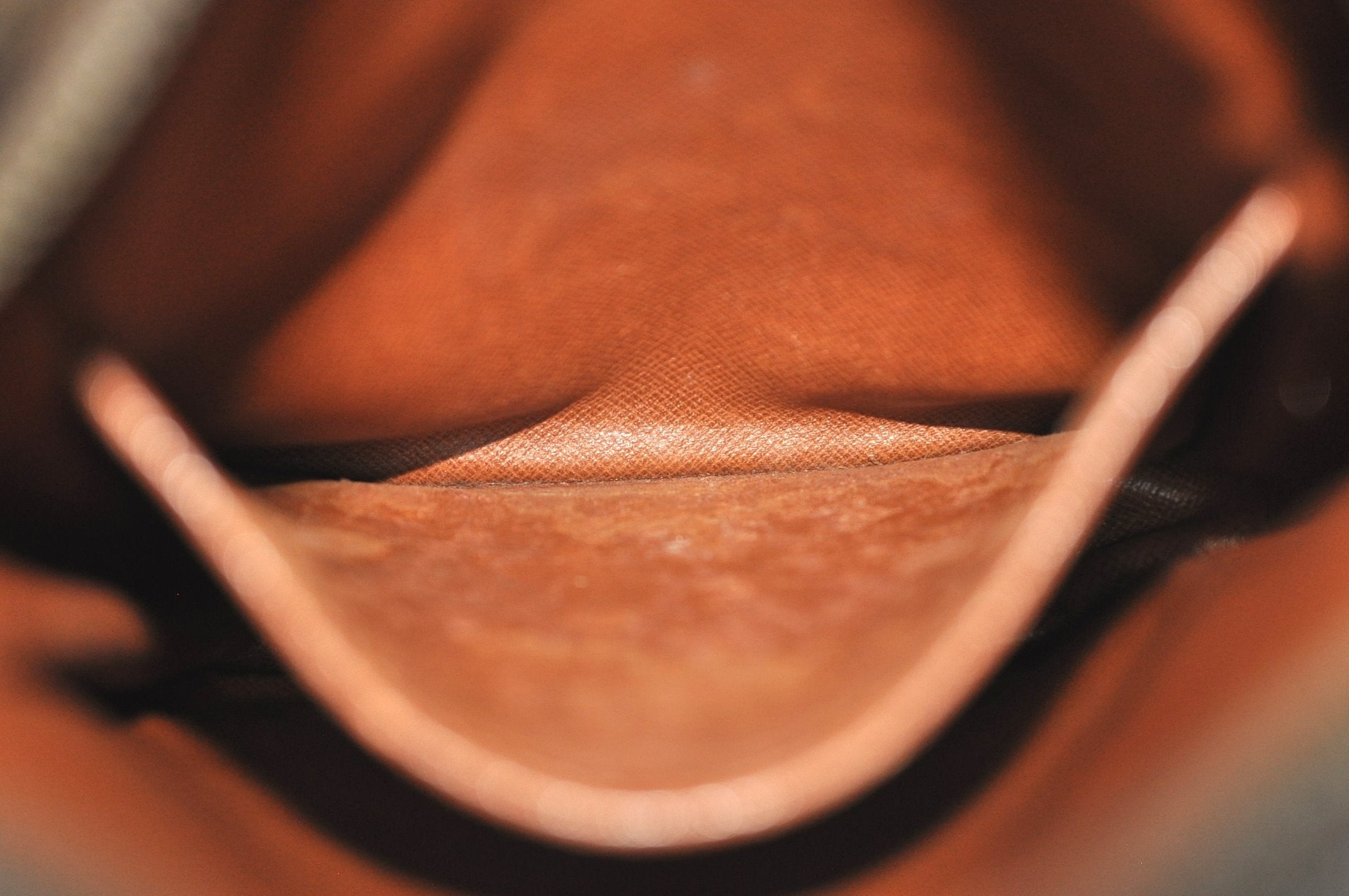 Authentic Louis Vuitton Monogram Danube Shoulder Cross Body Bag M45266 LV 6734J