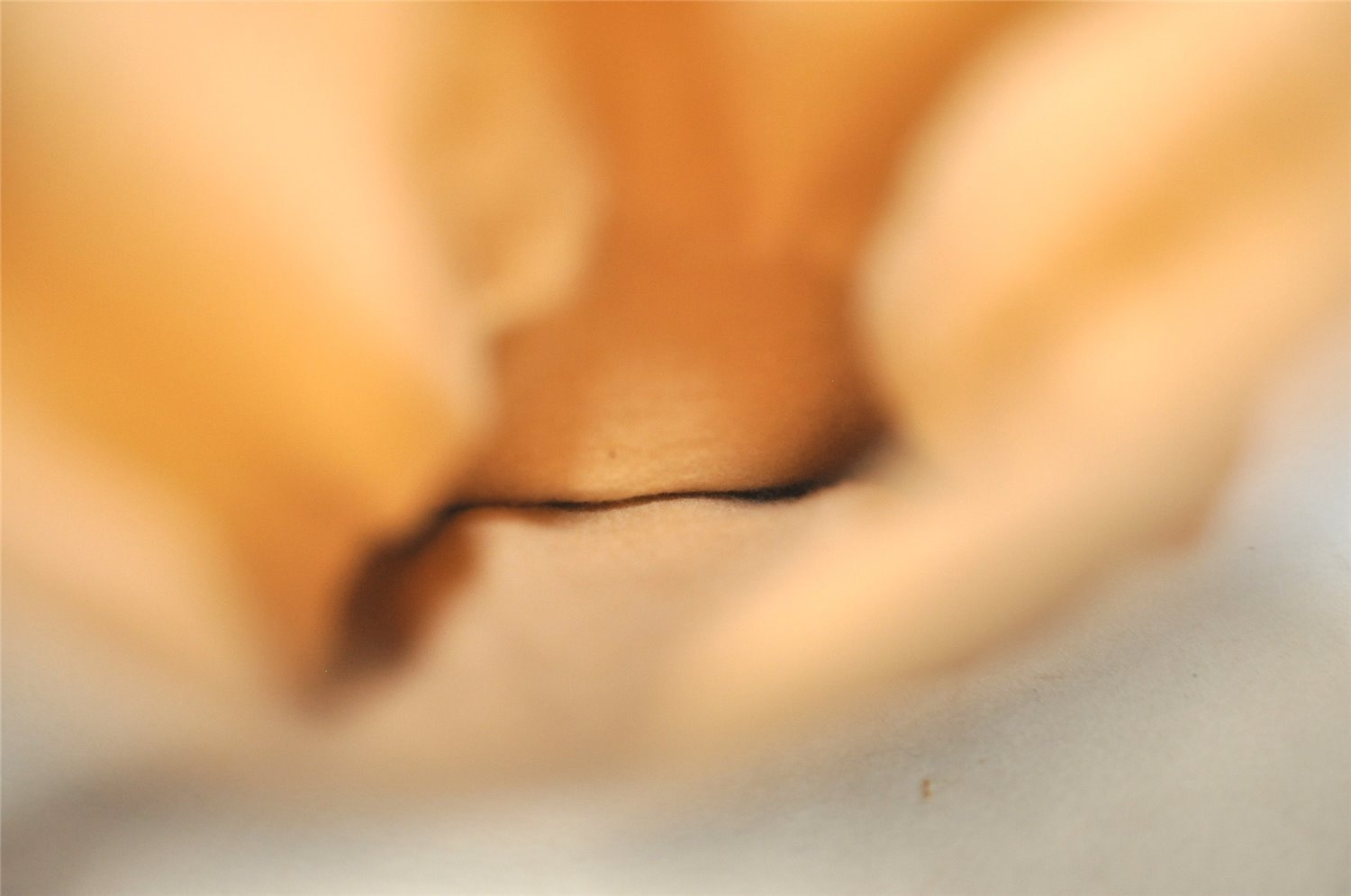 Authentic Louis Vuitton Monogram Protege-bois Golf Club Head Cover 4Set 7284I