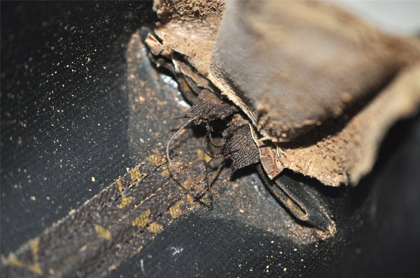 Authentic Louis Vuitton Monogram Trousse Demi Ronde 23 Pouch M47520 Junk 7734J